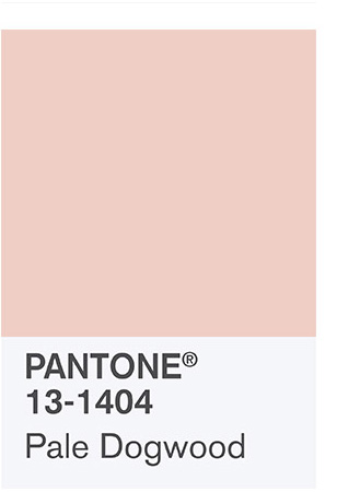 Color tendencia verano: Pantone Pale dogwood